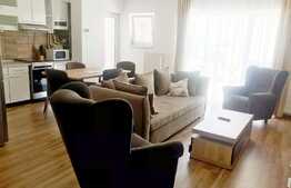 Apartament 2 camere in zona Hotel Golden Tulip? Avem oferta potrivita!