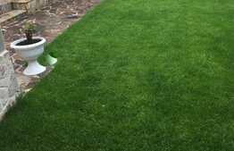 Exclusiv prin Blitz! Casa individuala in centru, 100 mp utili, 260 mp teren !