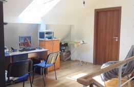 Exclusiv prin Blitz! Casa individuala in centru, 100 mp utili, 260 mp teren !