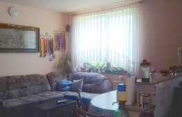 Casa individuala, 116 mp utili, 500 mp teren, zona verde !