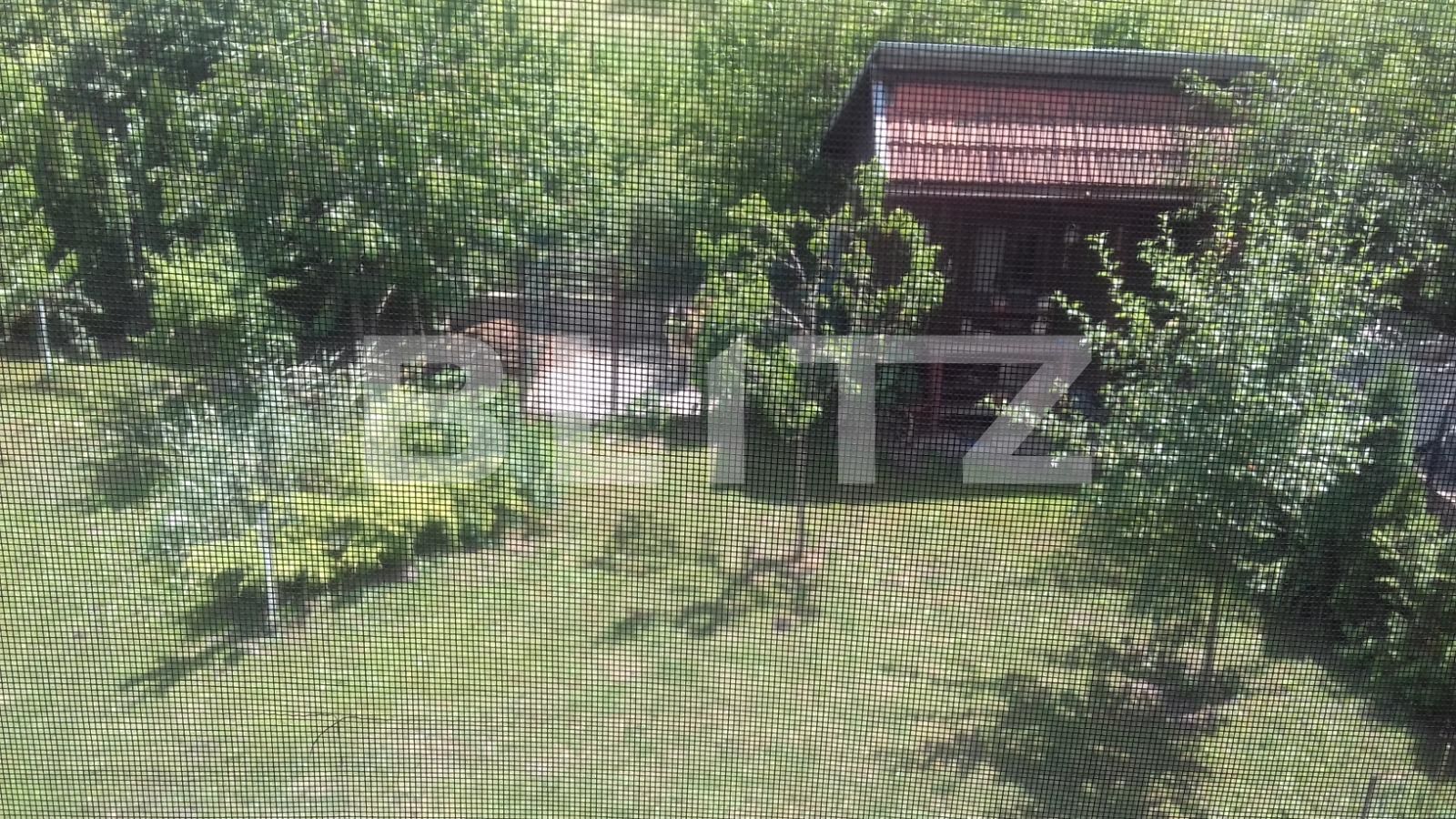 Casa de vânzare 3 camere Borhanci - 38432CV | BLITZ Cluj-Napoca | Poza12