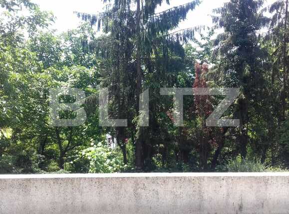 Casa de vânzare 7 camere Grigorescu - 38436CV | BLITZ Cluj-Napoca | Poza10