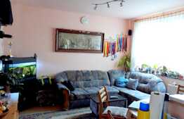 Casa individuala, 116 mp, teren 500 mp, zona strazii Romul Ladea