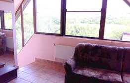 Casa individuala, 116 mp, teren 500 mp, zona strazii Romul Ladea