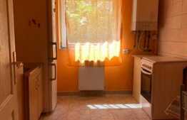 Oportunitate! Apartament 40 mp util cu 30 mp de gradina la un pret sub indicele pietei!