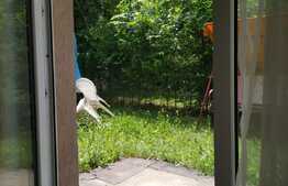 Oportunitate! Apartament 40 mp util cu 30 mp de gradina la un pret sub indicele pietei!