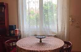 Apartament in imobil cu doar 4 apartamente, 126 mp utili, 1/4 cota din curte si pod, garaj, zona Casei de Cultura a Studentilor 