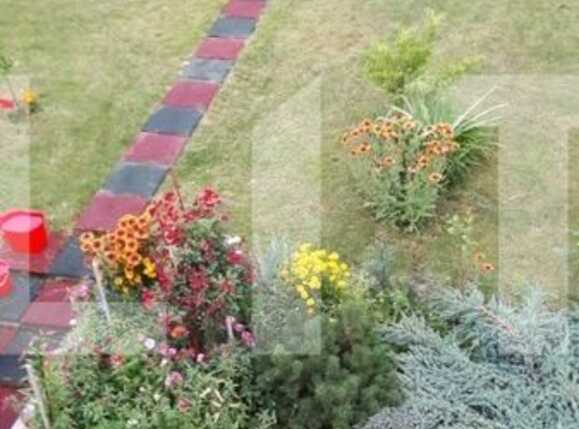 Casa de vânzare 7 camere Gruia - 38452CV | BLITZ Cluj-Napoca | Poza4