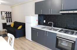 Oportunitate de investitie, preluare de chiriasi, zona Teilor