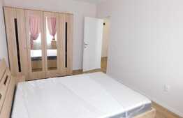 Oportunitate de investitie, preluare de chiriasi, zona Teilor