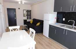 Oportunitate de investitie, preluare de chiriasi, zona Teilor