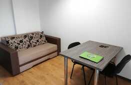 Apartament 2 camere, 55 mp, aer conditionat, zona strazii Campului