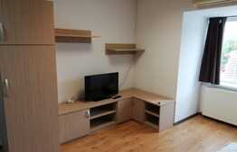 Apartament 1 camera, 45 mp, A.C. , zona strazii Campului