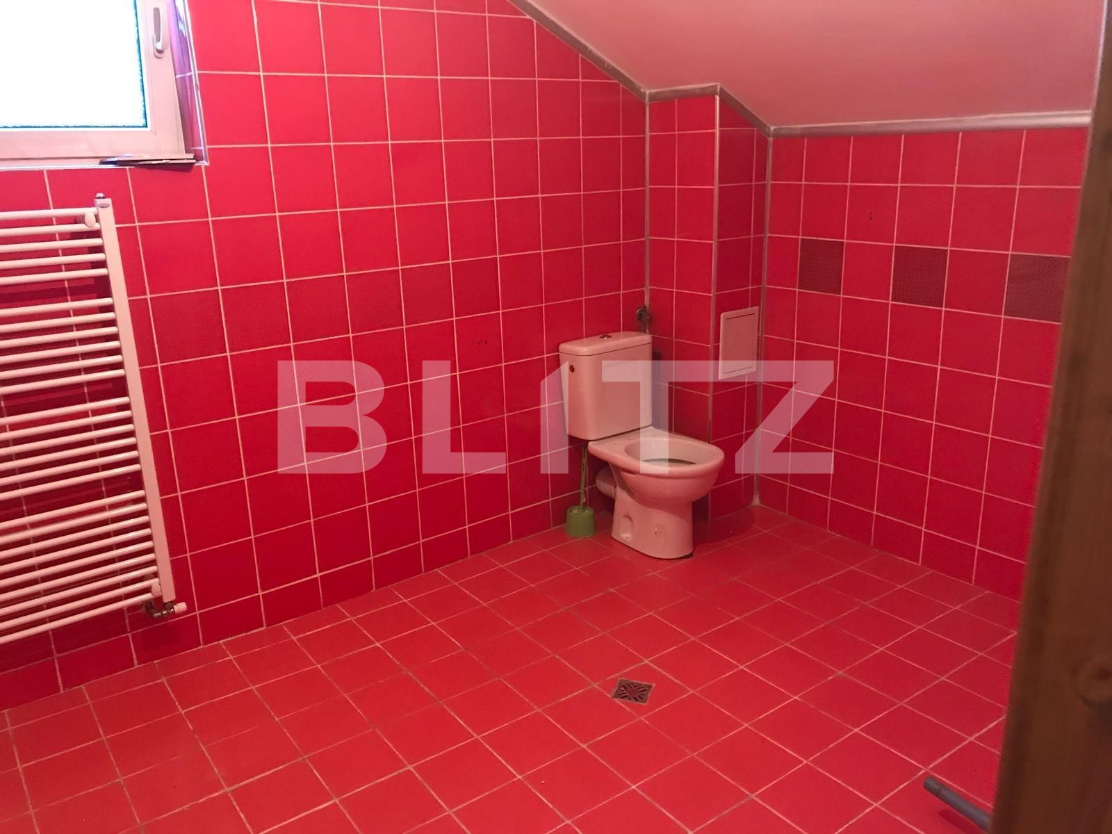 Casa de vânzare 5 camere Apahida - 38474CV | BLITZ Cluj-Napoca | Poza13