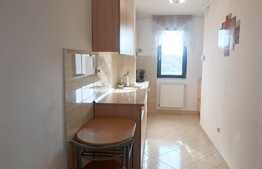 Apartament de inchiriat, 1 camera, decomandat, 40 mp, parcare, Park Lake