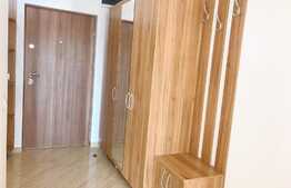 Apartament de inchiriat, 1 camera, decomandat, 40 mp, parcare, Park Lake