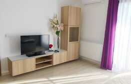 Apartament de inchiriat, 1 camera, decomandat, 40 mp, parcare, Park Lake