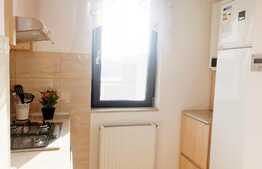 Apartament de inchiriat, 1 camera, decomandat, 40 mp, parcare, Park Lake