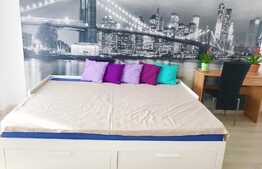 Apartament de inchiriat, 1 camera, decomandat, 40 mp, parcare, Park Lake