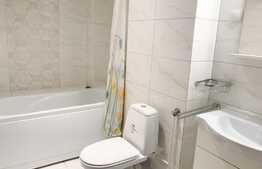 Apartament de inchiriat, 1 camera, decomandat, 40 mp, parcare, Park Lake