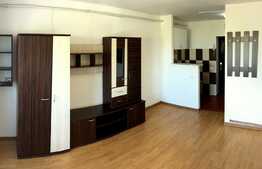 Cauti o garsoniera cocheta la pret accesibil?