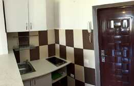 Cauti o garsoniera cocheta la pret accesibil?