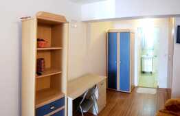 Garsoniera pentru investitie,  33 mp, zona Alverna