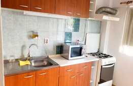 Garsoniera pentru investitie,  33 mp, zona Alverna