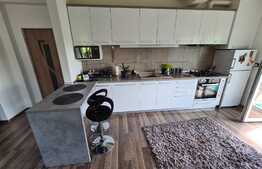 Apartament modern, 2 camere, terasa 23mp, panorama ! Zona Fagului!