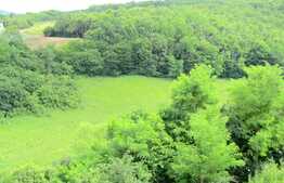 Apartament modern, 2 camere, terasa 23mp, panorama ! Zona Fagului!