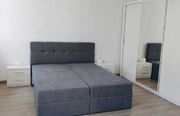 Apartament modern, 3 camere, prima inchiriere, totul nou, zona Parc Colina