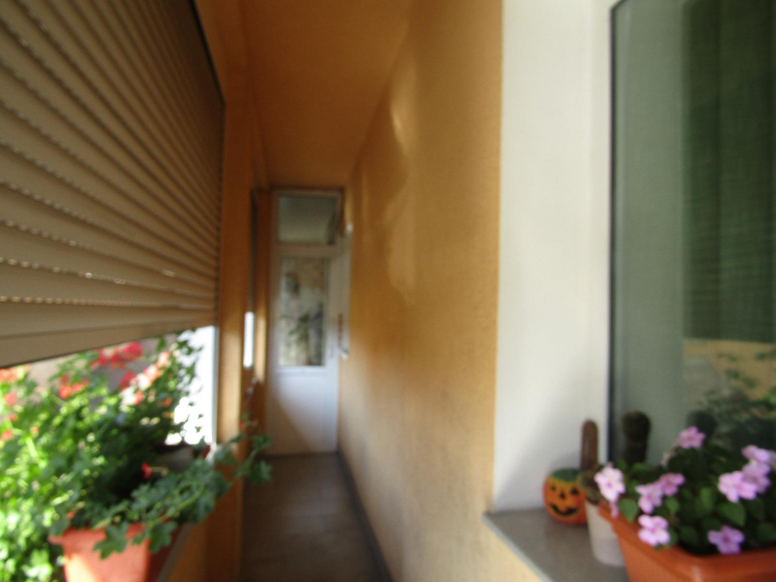 Casa de vânzare 7 camere Baciu - 38542CV | BLITZ Cluj-Napoca | Poza8