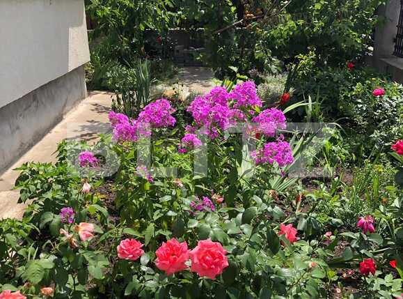 Casa de vânzare 5 camere Floreşti - 38547CV | BLITZ Cluj-Napoca | Poza6