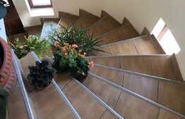 Duplex de vanzare, 150  mp, 250 teren, Zona Florilor! 