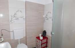 Rafinament, confort si personalitate, zona Teilor