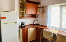 Apartament 1 camera, 42 mp, zona USAMV