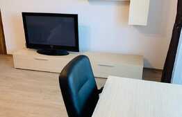 Apartament 1 camera, 42 mp, zona USAMV