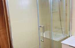 Apartament 1 camera, 42 mp, zona USAMV