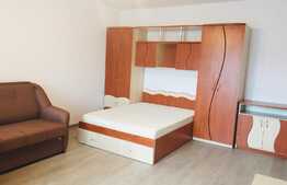 Apartament 1 camera, 42 mp, zona USAMV