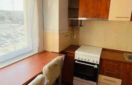 Apartament 1 camera, 42 mp, zona USAMV