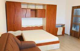 Apartament 1 camera, 42 mp, zona USAMV