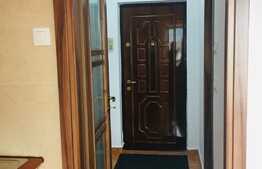 Apartament 1 camera, 42 mp, zona USAMV