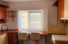 Apartament 1 camera, 42 mp, zona USAMV