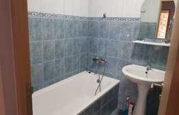 Apartament 2 camere, decomandat, 50 mp, terasa 37 mp,zona Porii!