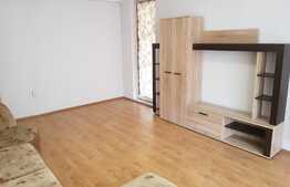 Apartament 2 camere, decomandat, 50 mp, terasa 37 mp,zona Porii!
