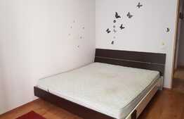 Apartament 2 camere, decomandat, 50 mp, terasa 37 mp,zona Porii!