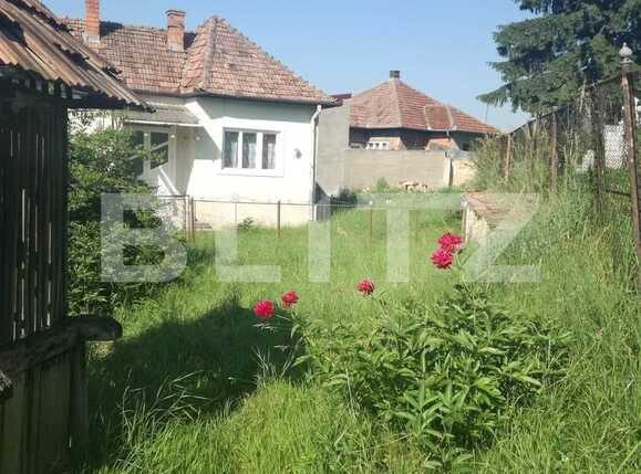 Casa de vânzare 3 camere Baciu - 38594CV | BLITZ Cluj-Napoca | Poza1