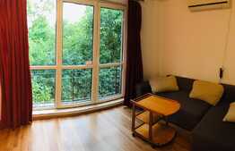 Apartament 1 camera, 40 mp, parcare, zona strazii Intre Lacuri