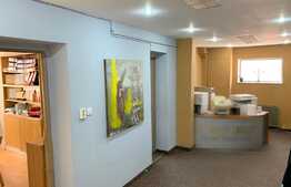 Apartament in casa, 170 mp, P+M, zona Piata Muzeului!