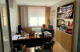 Apartament in casa, 170 mp, P+M, zona Piata Muzeului!